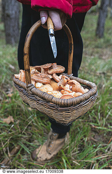Young woman with basket of mushrooms and knife in forest in autumn