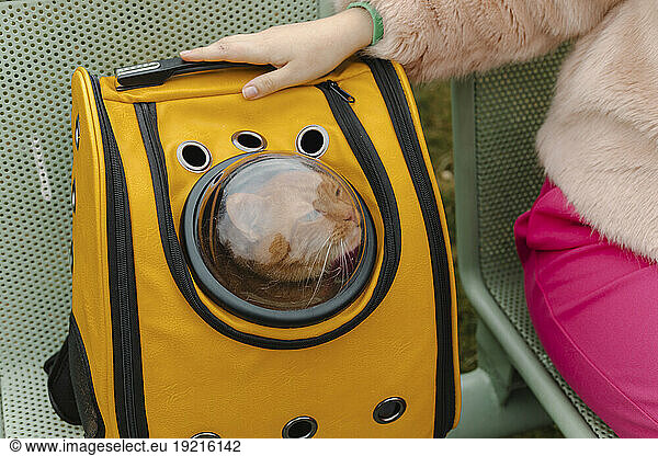 Young woman with cat in pet carrier on park bench