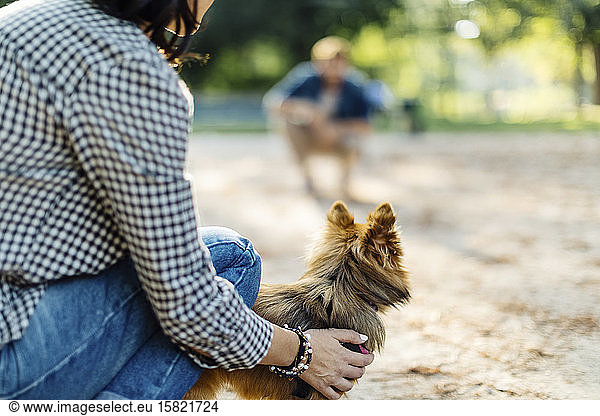 Young woman with dog in a park opposite to a man