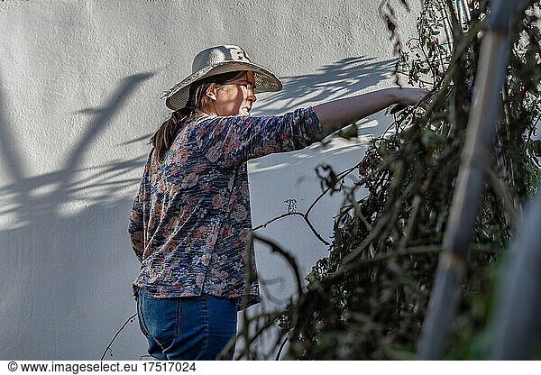 young woman with hat working in her home vegetable garden