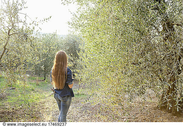 Young woman with long hair standing by olive grove