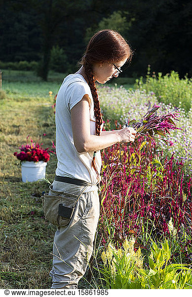 Young woman with long red hair braid cuts flowers in garden