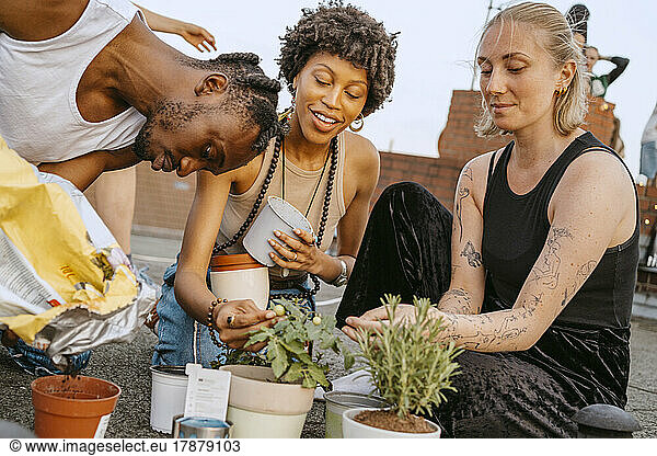 Young women with man planting potted plants on rooftop