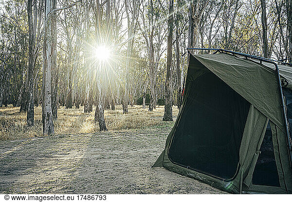 Zelt auf einem sonnigen Campingplatz im australischen Busch
