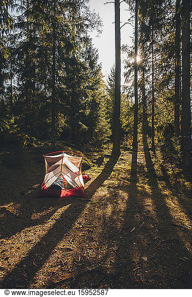Zelt im Wald  in dem eine Person in einem Schlafsack schläft