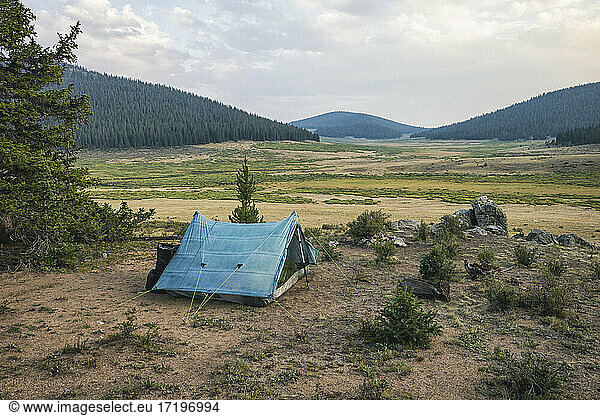 Zelten in der Wildnis der Buffalo Peaks  Colorado