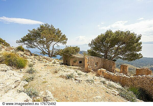 Zerfallene Steinhäuser am Talaia d´Alcúdia (446m)  Mallorca  Balearen  Spanien  Europa