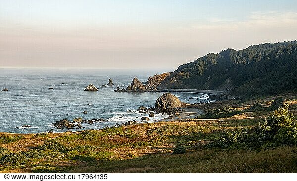 Zerklüffteten Küste mit Felsen im Meer  Whaleshead  Samuel H. Boardman State Scenic Corridor  Oregon  USA  Nordamerika