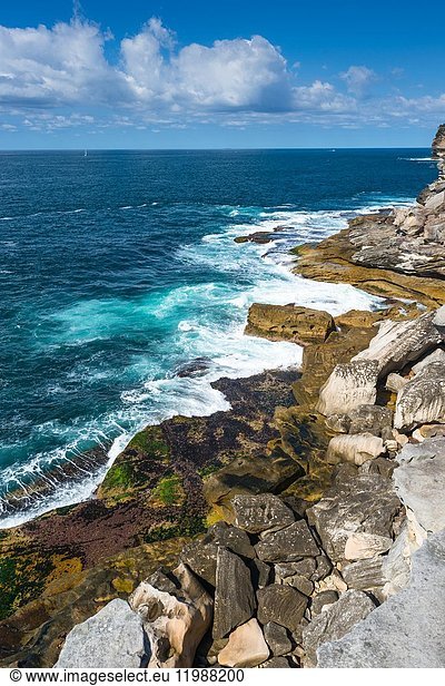 Zerklüftete Küstenlandschaft an der Watsons Bay  Sydney  Australien.