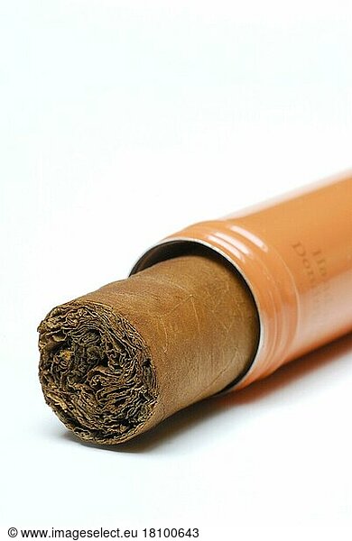 Zigarre mit Verpackung  Zigarrenetui  rauchen