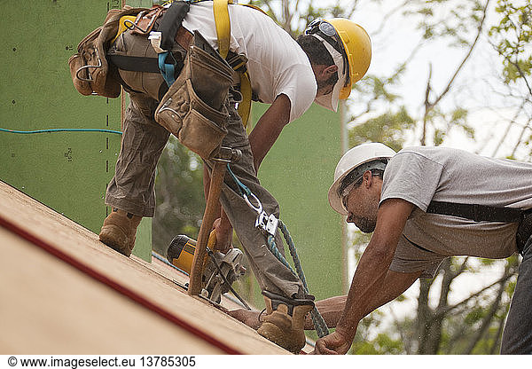Zimmerleute mit Sicherheitsgurt bei der Arbeit mit einer Kreissäge zum Beschneiden einer Dachfensteröffnung im Dach