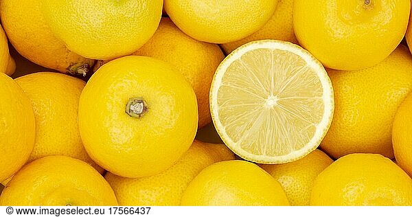 Zitronen Früchte Zitrone Frucht von oben Panorama
