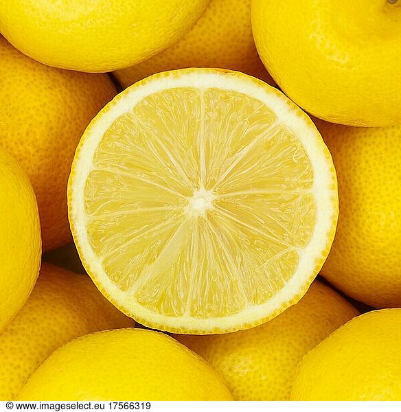 Zitronen Früchte Zitrone Frucht von oben quadratisch