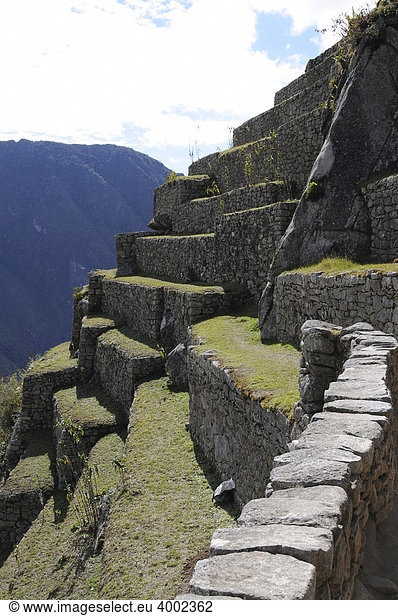 Zona agricola Terrassen  Inkasiedlung  Quechuasiedlung  Machu Picchu  Peru  Südamerika  Lateinamerika
