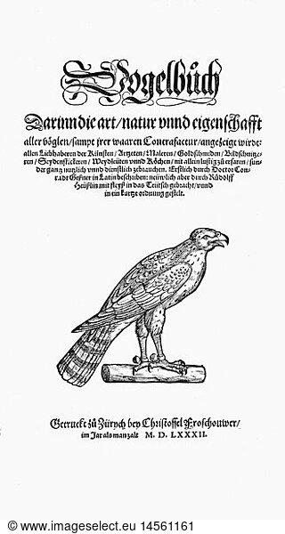 zoology / animals  textbooks  'Historia animalium'  by Conrad Gessner  Zurich  Switzerland  1551 - 1558  edition in German  1582  woodcut