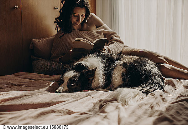 Zu Hause auf dem Bett liegender Hund mit dem Besitzer im Hintergrund
