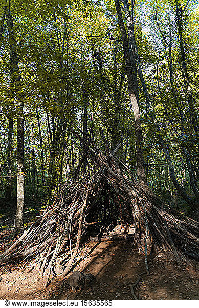 Zuflucht aus Ästen in einem Buchenwald