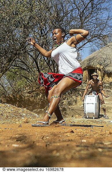 Zulu-Tänzer in traditioneller Kleidung tanzen den Ingoma-Krieger-Tanz. Dorf Creda Mutwa  Südafrika