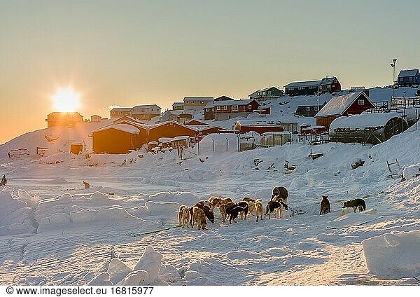 Zurück von der Jagd. Das traditionelle und abgelegene grönländische Inuit-Dorf Kullorsuaq  Melville Bay  Teil der Baffin Bay. Amerika  Nordamerika  Grönland  dänisches Gebiet.