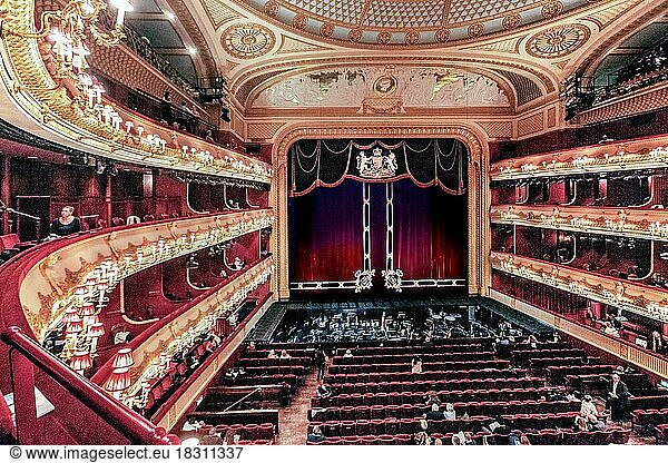 Zuschauerraum vom Royal Opera House Covent Garden  London  City of London  England  United Kingdom  Großbritannien  Europa