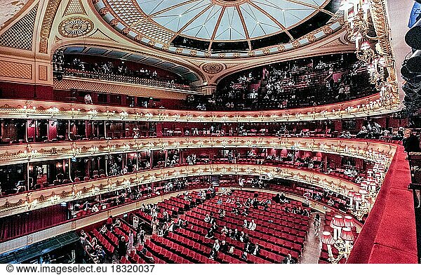 Zuschauerraum vom Royal Opera House Covent Garden  London  City of London  England  United Kingdom  Großbritannien  Europa