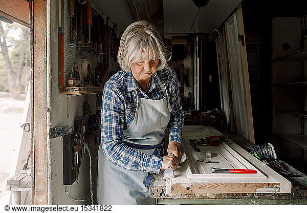 Zuversichtlicher älterer weiblicher Eigentümer kratzt am Fensterrahmen in einem Workshop