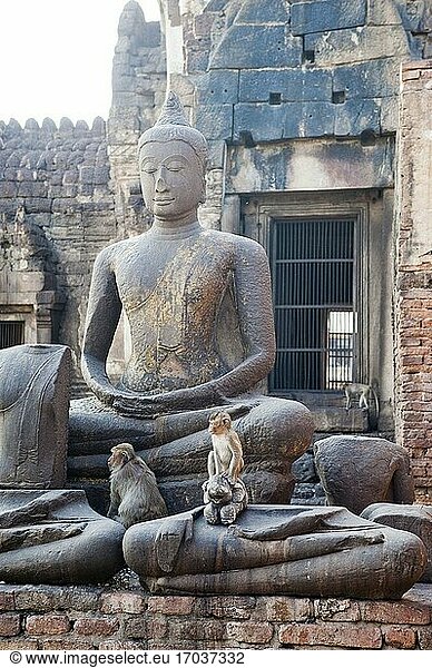 Zwei Affen auf einer Buddha-Statue im buddhistischen Tempel Phra Prang Sam Yot  Lopburi  Thailand. Lopburi ist eine der ältesten Städte Thailands und dank interessanter Sehenswürdigkeiten wie dem König-Narai-Palast (Phra Narai Ratchanivet) und dem Phra Prang Sam Yot  einem Tempel  der von krabbenfressenden Makakenaffen bewohnt wird  ein beliebtes Touristenziel.