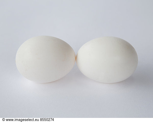 Zwei Bio-Eier aus Freilandhaltung mit weißen Schalen  aneinandergereiht  vor einem weißen Hintergrund.