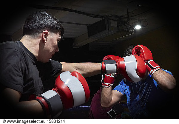 Zwei Boxer trainieren auf einem Ring