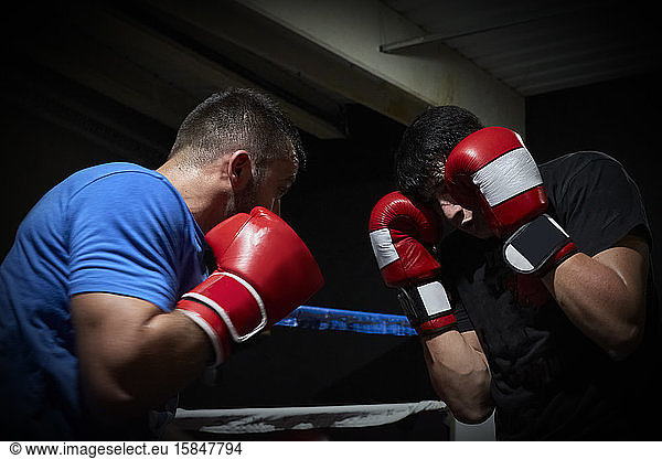Zwei Boxer trainieren auf einem Ring