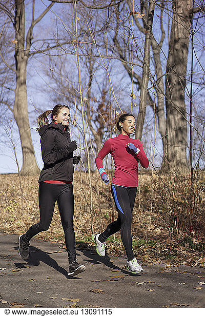 Zwei Frauen joggen im Park