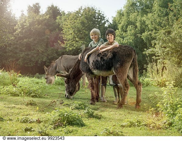 Zwei Jungen mit Esel im Feld  Portrait