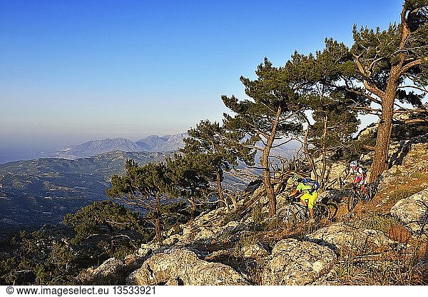 Zwei Mountainbiker radeln in felsigem Gelände durch Kiefernwälder  in der Nähe von Stavros  Kreta  Griechenland  Europa