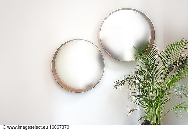 Zwei ovale runde Spiegel auf weißer Wand mit grüner Zimmerpflanze modernes Interieur  verschwommene Spiegel Retro-Design Raum für Text.
