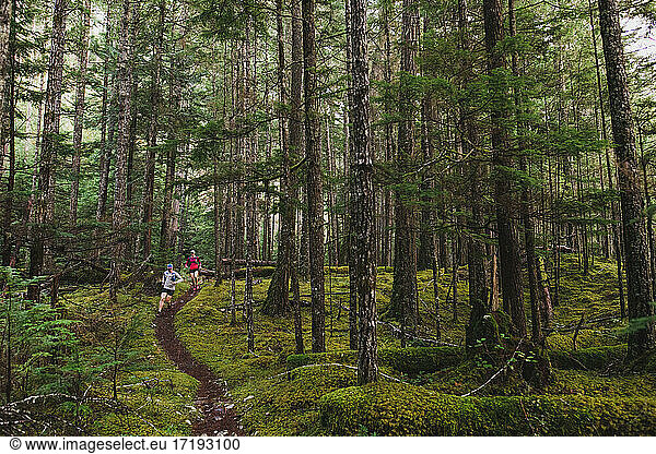 Zwei Trailrunner laufen auf einem gewundenen Singletrail durch einen üppigen Wald