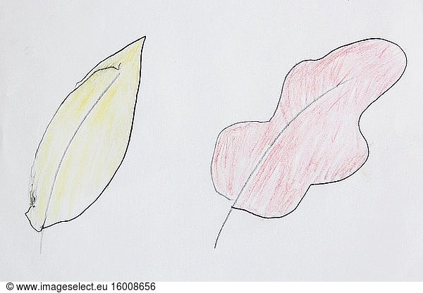 Zwei von einem Kind gezeichnete Blätter. Eichenblatt. Herbstliche Jahreszeit im Kunstwerk. Paar Blätter mit Bleistift gemalt.