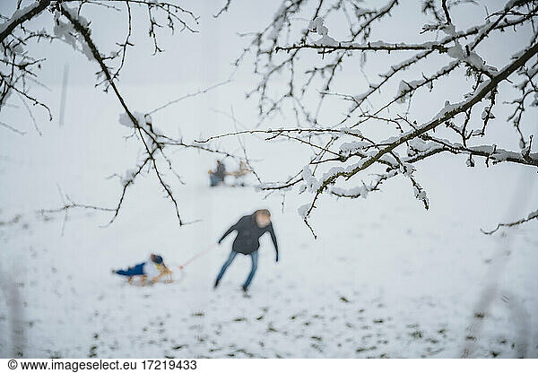 Zweige eines Baumes mit Schnee und Vater  der seinen Sohn in einem Schlitten zieht  im Winter