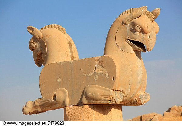 Zwilling - Person  Archäologie  Form  Formen  Iran  Persepolis