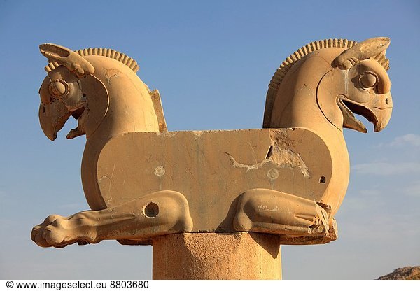 Zwilling - Person  Archäologie  Form  Formen  Iran  Persepolis