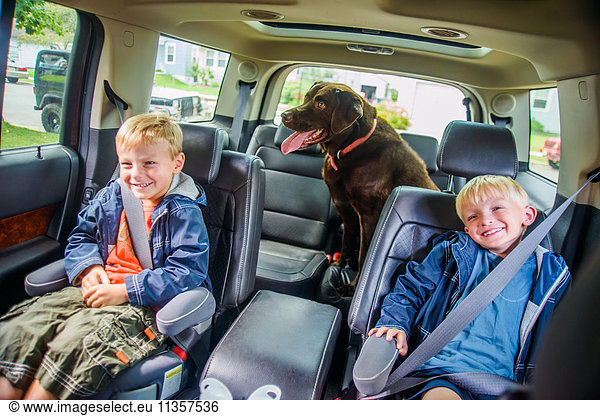 Zwillingsbrüder sitzen hinten im Fahrzeug  schelmische Ausdrücke  Haushund sitzt hinten