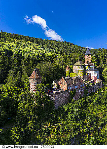 Zwingenberg Castle amidst trees against blue sky in town  Odenwald  Germany