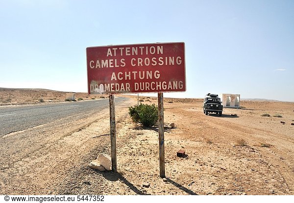 zwischen  inmitten  mitten  überqueren  Fernverkehrsstraße  Zeichen  Warnung  Kamel  Afrika  Douz  Ksar  Signal  Tunesien