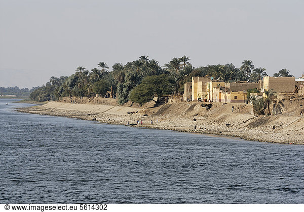 zwischen inmitten mitten Dorf Afrika Ägypten Luxor