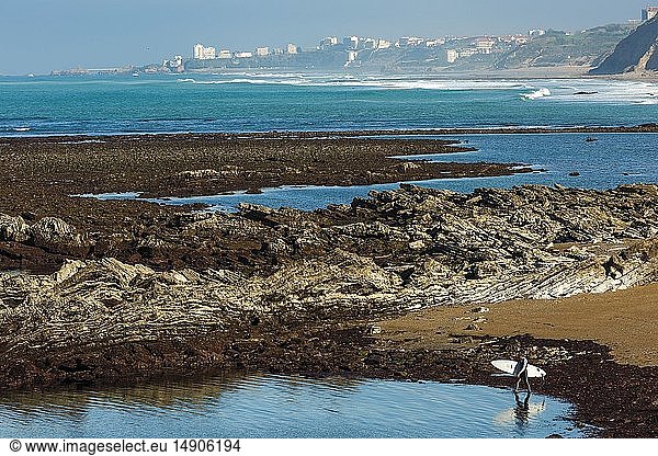 France, Pyrenees Atlantiques, Euskadi, Pays Basque, Guethary, surfer entering the water to surf